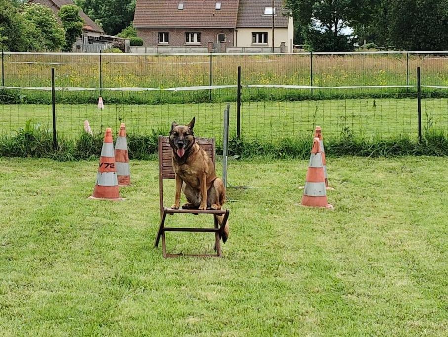 Gite Au Ptit Canin Moyenneville  Ngoại thất bức ảnh